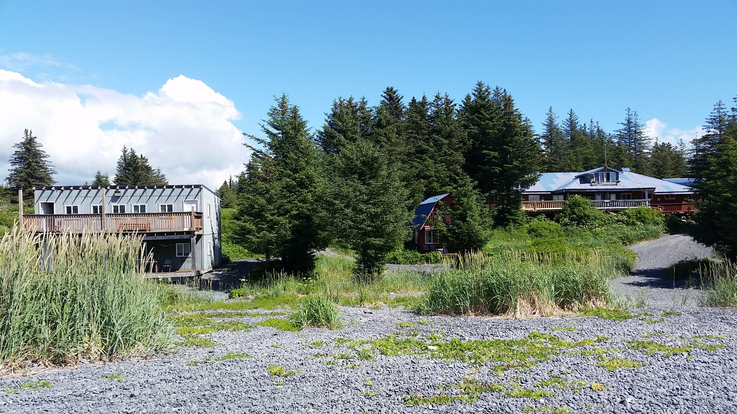 CHF-ResourcesBlog-NuuciqPost